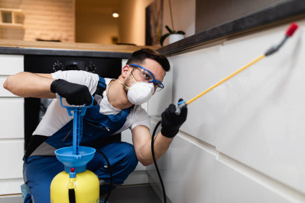 Best Insect Control  in Contra Costa Centre, CA