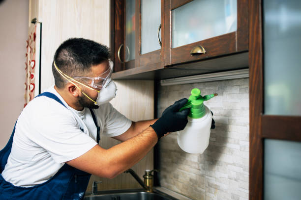 Best Pest Control Near Me  in Contra Costa Centre, CA