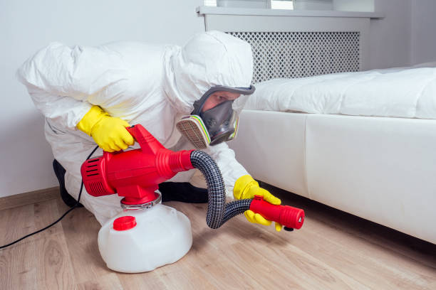 Best Wasp Removal Services  in Contra Costa Centre, CA