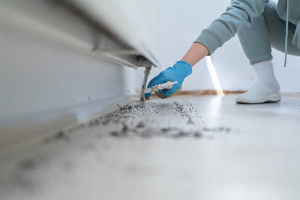 Best Bed Bug Extermination  in Contra Costa Centre, CA